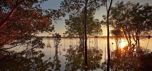 ICHTHYS Monitoring The Environment